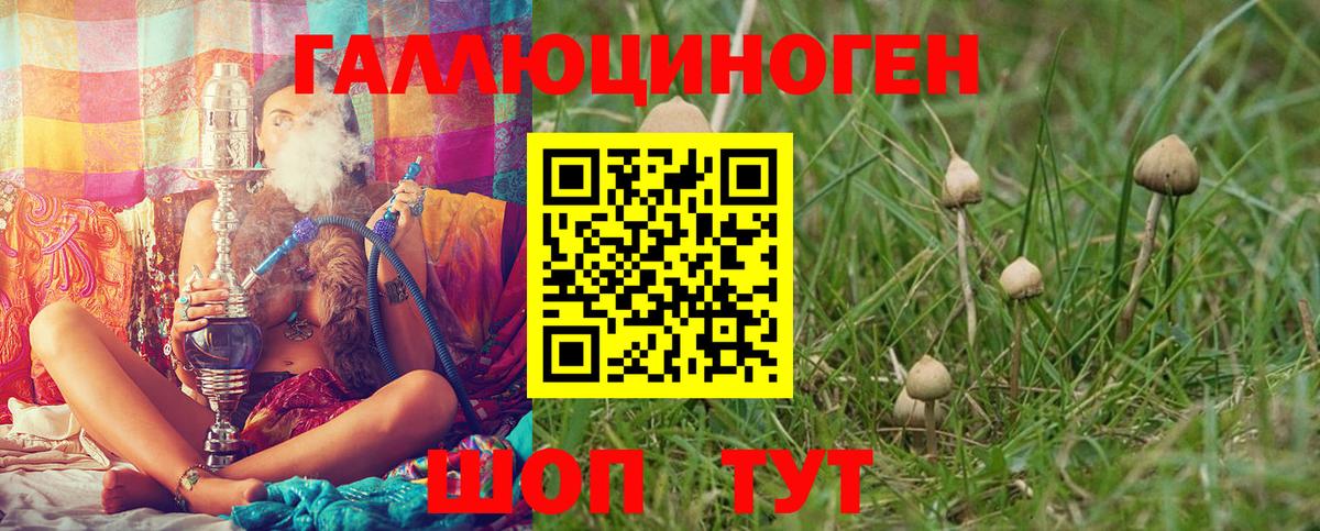 Галлюциногенные грибы Cubensis  Вход с VPN  Татарск 