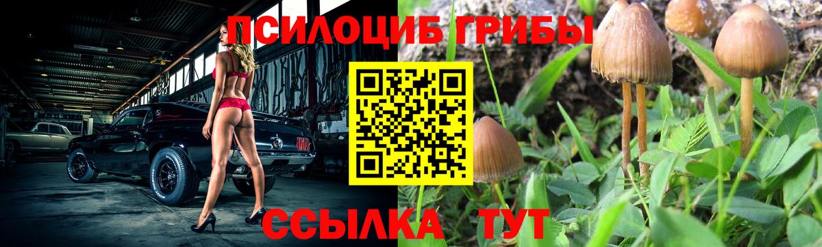 Псилоцибиновые грибы Cubensis Татарск